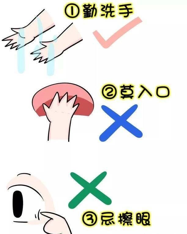 6.png